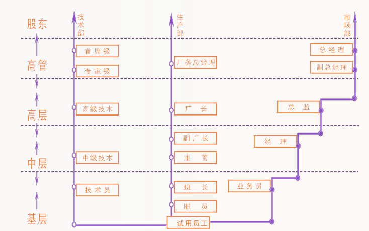 嘉杰公司職業(yè)生涯規(guī)劃